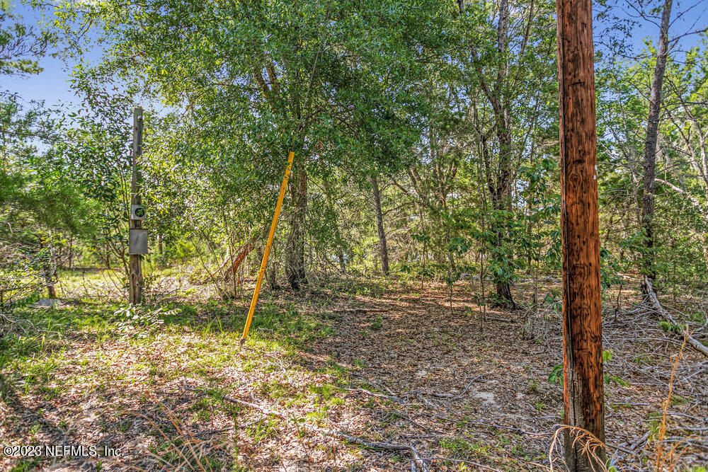 1379 State Rte 100 Melrose, FL 32666 - Photo 9 of 44 010_6f1a0009