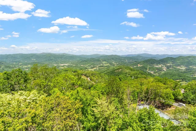 a view of a city with lush green forest