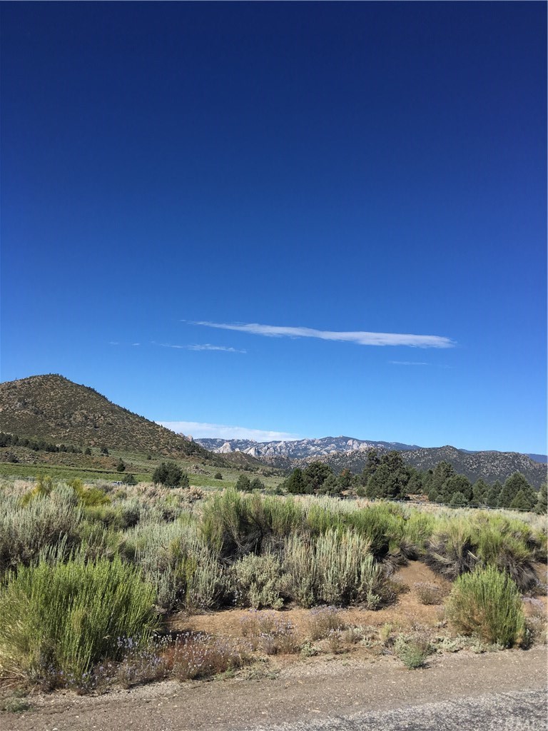 11 Deodar Road Inyokern, CA 93527 - Photo 11 of 14 Gallery Image 11