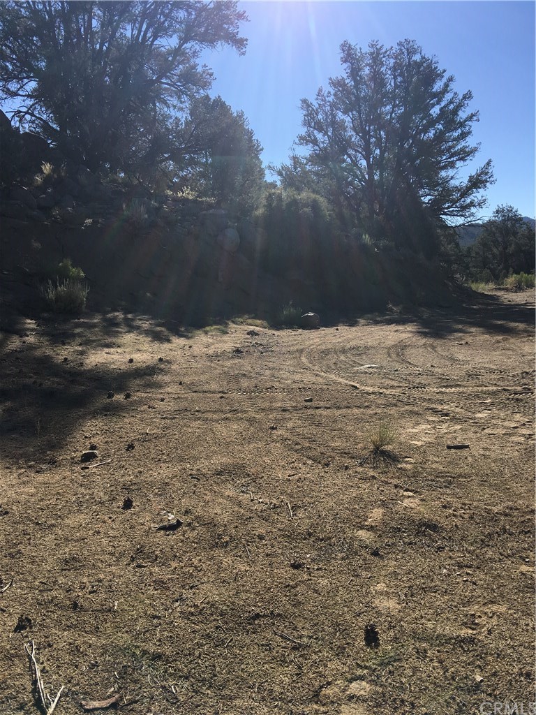11 Deodar Road Inyokern, CA 93527 - Photo 8 of 14 Gallery Image 8