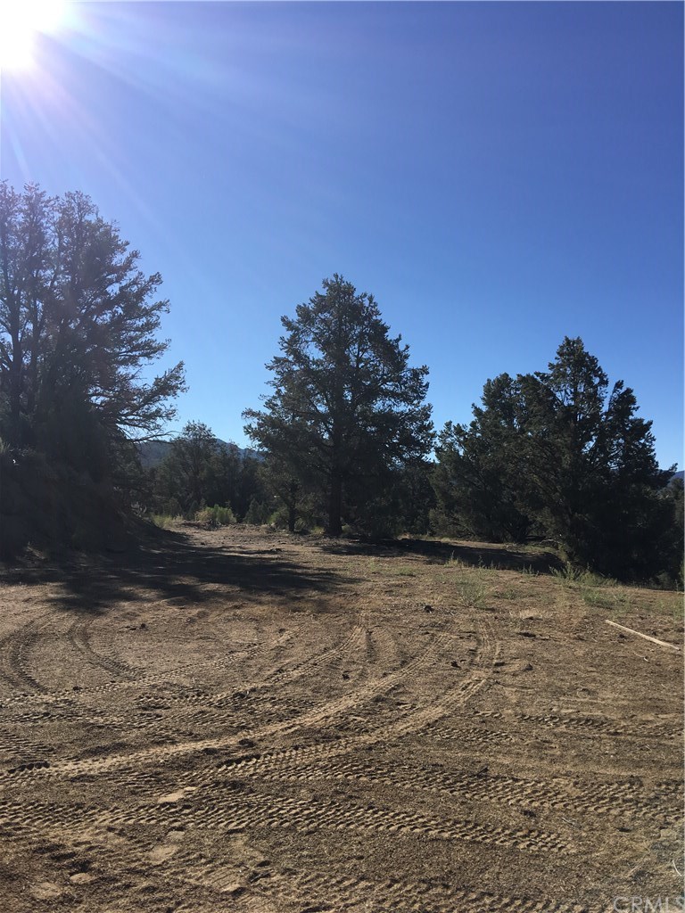 11 Deodar Road Inyokern, CA 93527 - Photo 9 of 14 Gallery Image 9