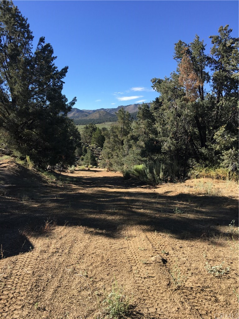 11 Deodar Road Inyokern, CA 93527 - Photo 10 of 14 Gallery Image 10