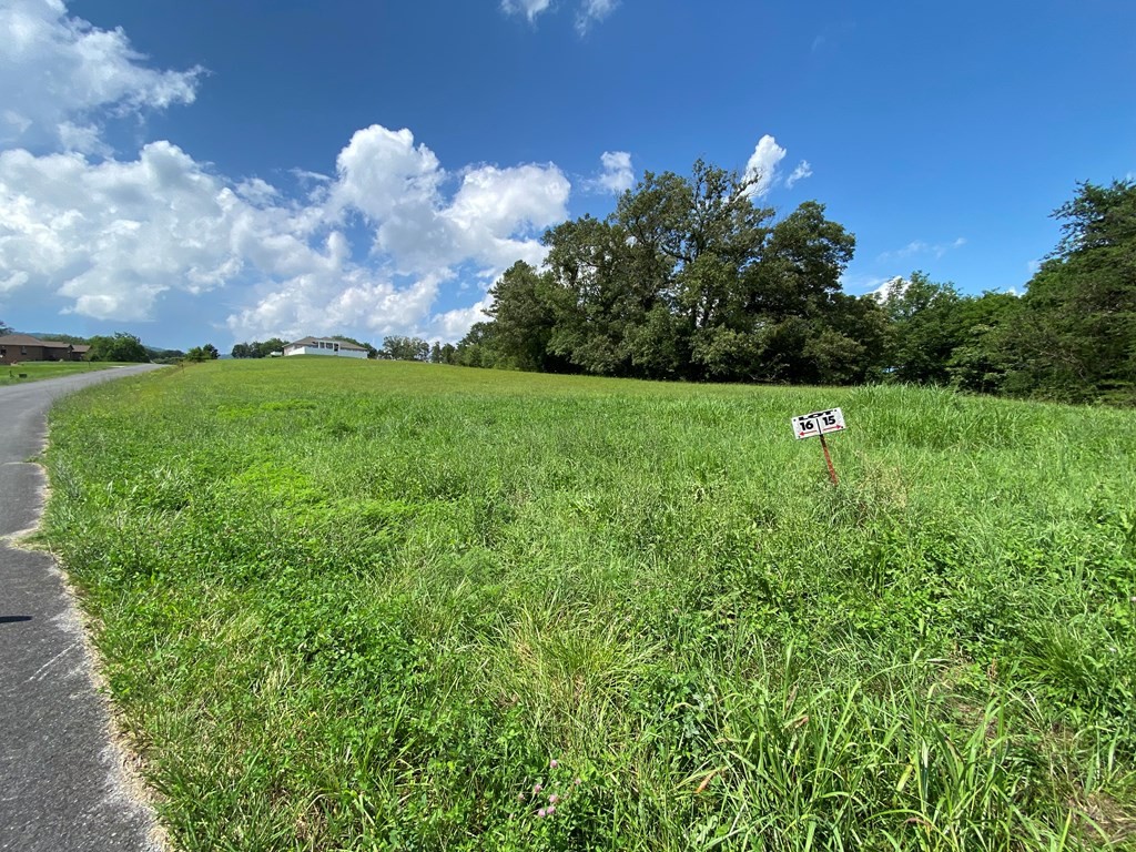 16 Buttercup Way Newport, TN 37821 - Photo 5 of 7