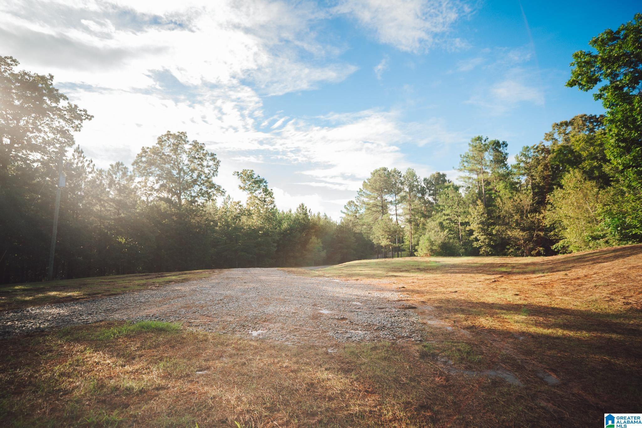 2636 Roy Webb Cutoff Road Piedmont, AL 36272 - Photo 33 of 44