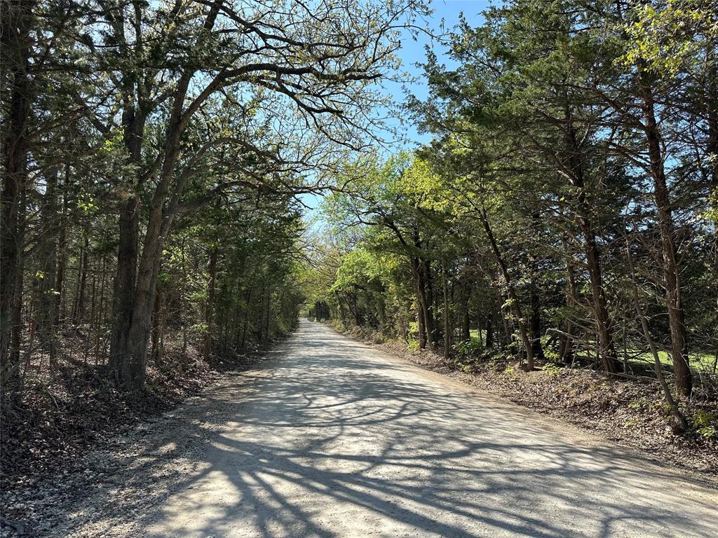 a view of backyard space