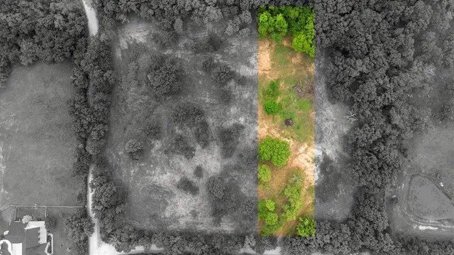 a view of a yard with plants