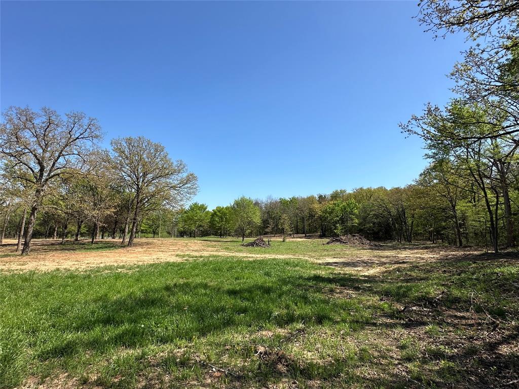 Tbd Lot 4 Tbd Gainesville, TX 76240 - Photo 6 of 7 a view of dirt field with trees