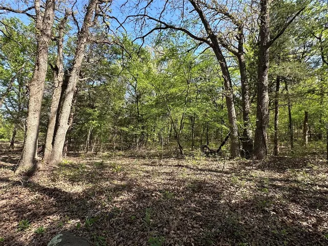 $89,900 | Tbd Lot 4 Tbd, Gainesville, TX 76240