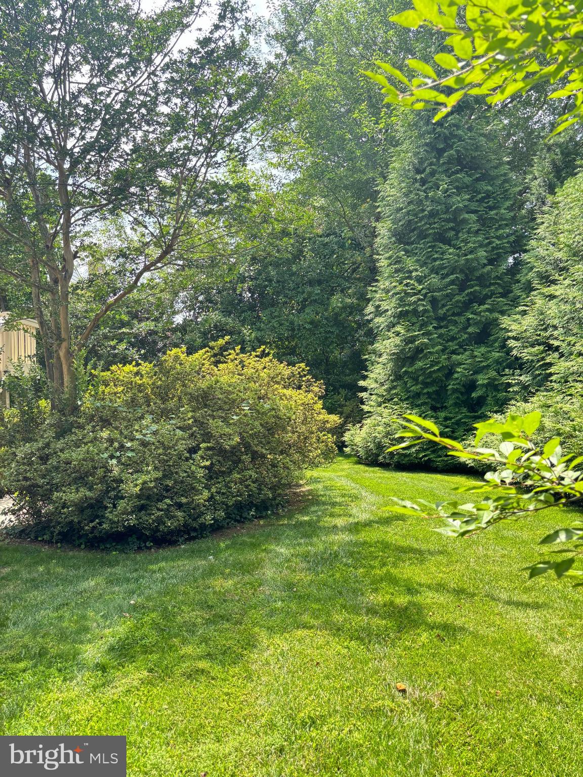 6519 Winnepeg Road Bethesda, MD 20817 - Photo 36 of 38 Backyard