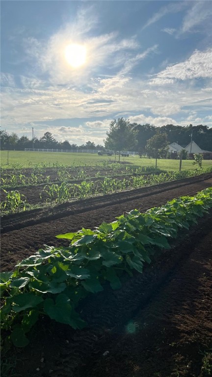 441 Seigler Road Iva, SC 29655 - Photo 16 of 34