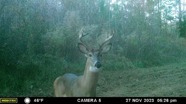 $650,000 | 441 Seigler Road, Iva, SC 29655