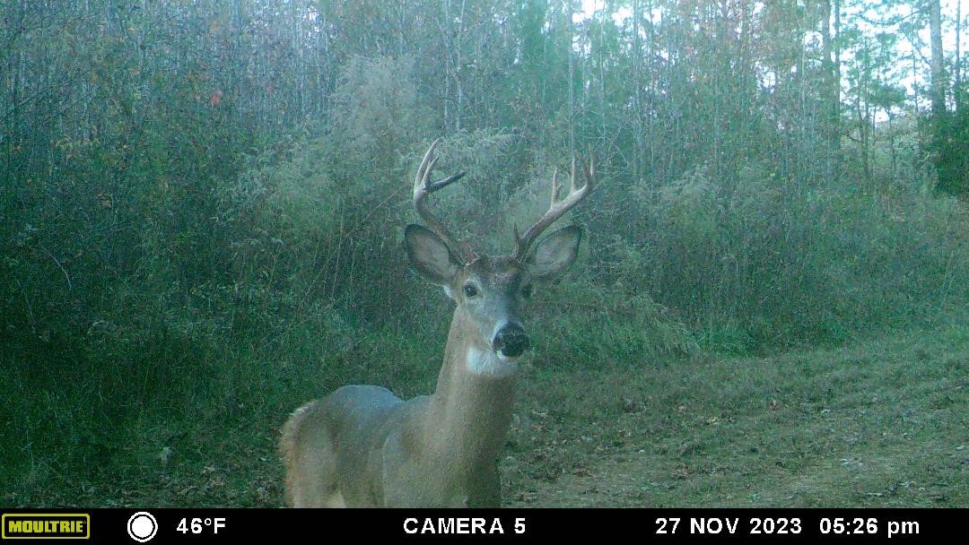 441 Seigler Road Iva, SC 29655 - Photo 17 of 34