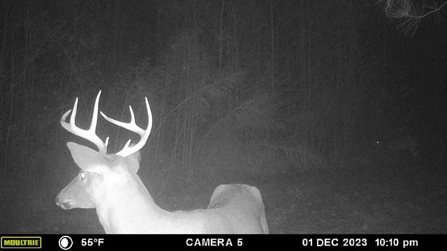 $650,000 | 441 Seigler Road, Iva, SC 29655