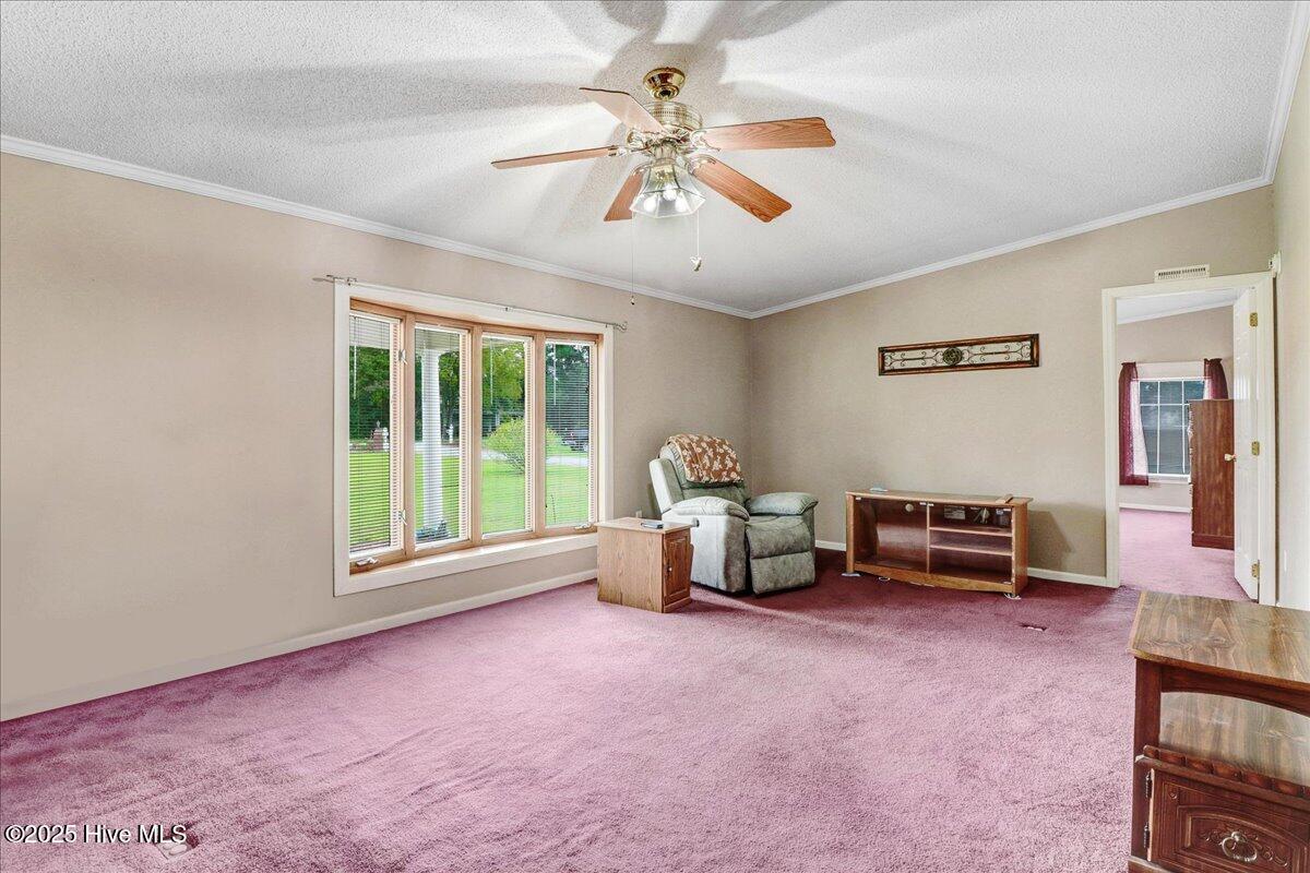 290 Wellons-Boyette Road Princeton, NC 27569 - Photo 10 of 23 10-290 Wellons-Boyette Rd-10