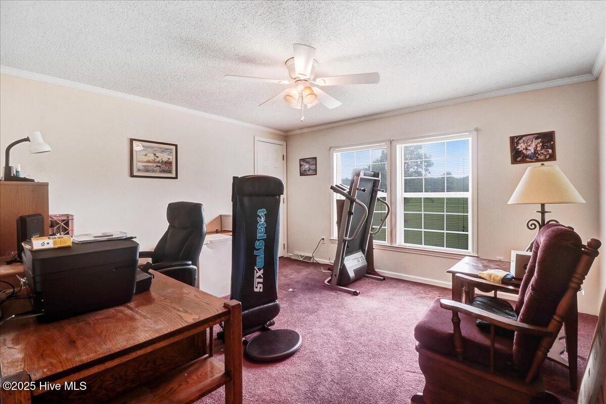 290 Wellons-Boyette Road Princeton, NC 27569 - Photo 19 of 23 19-290 Wellons-Boyette Rd-19