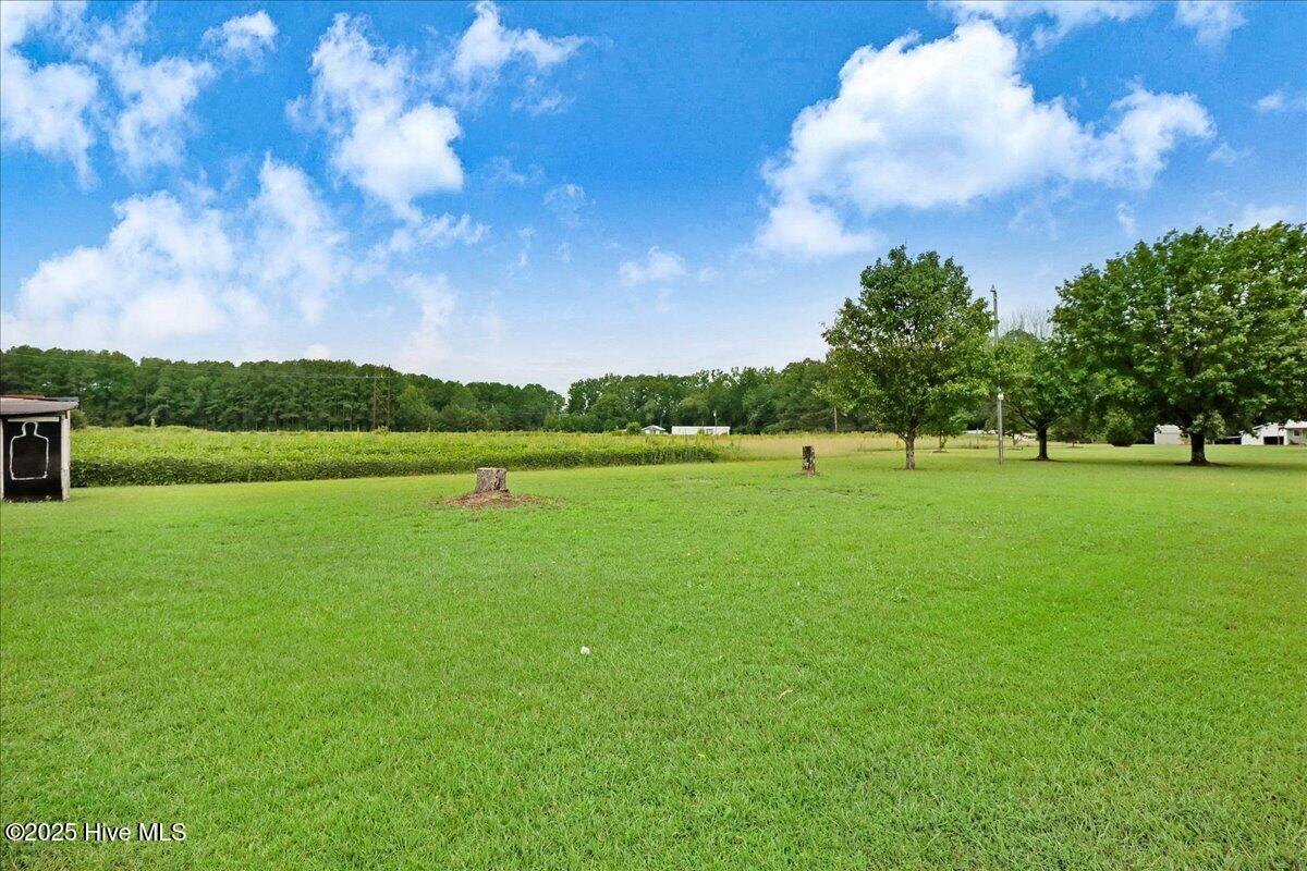 290 Wellons-Boyette Road Princeton, NC 27569 - Photo 8 of 23 08-290 Wellons-Boyette Rd-8