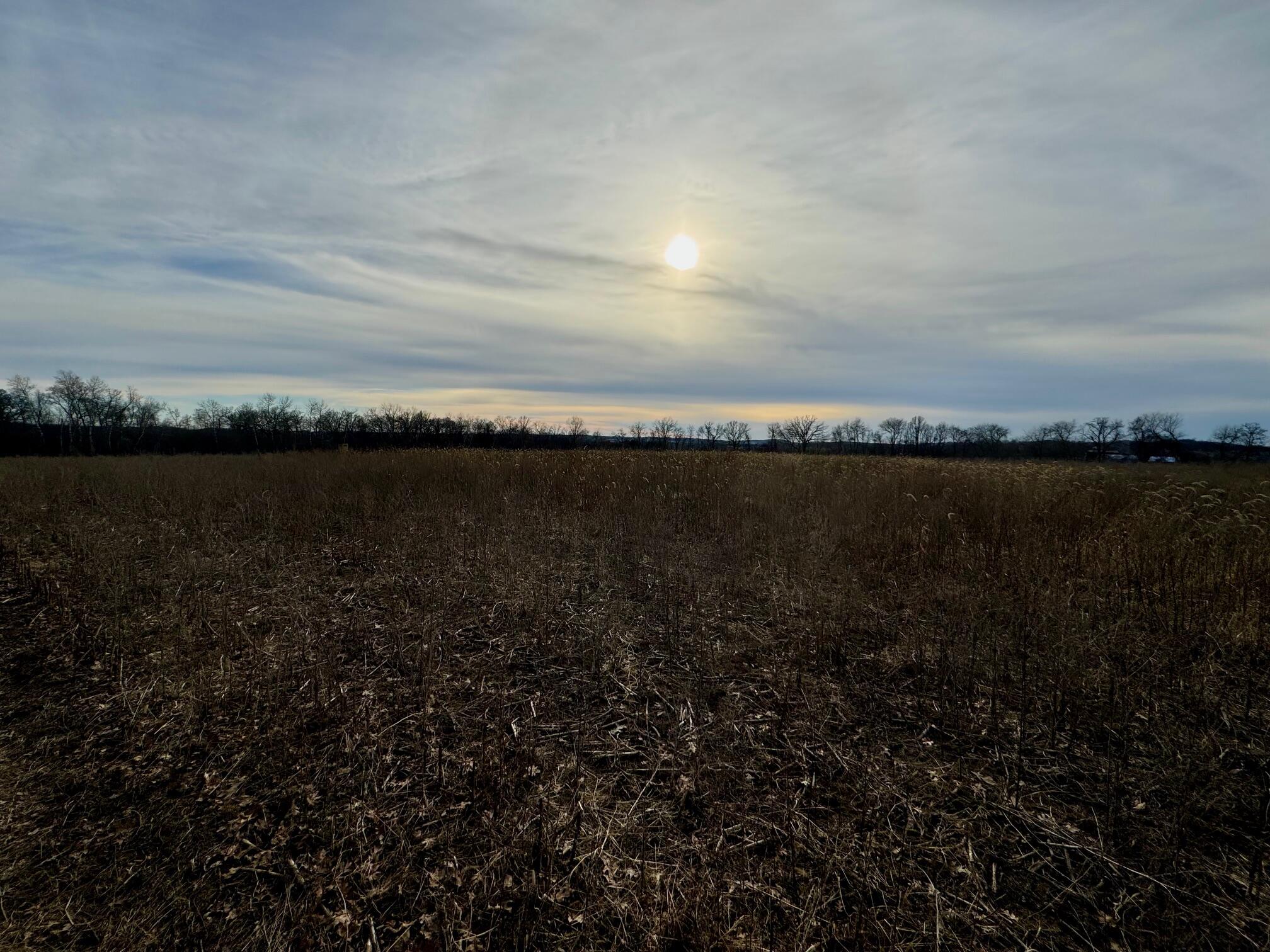 W3769 Highway 44 Markesan, WI 53946 - Photo 43 of 69 W3736 State Road 44 pic 9