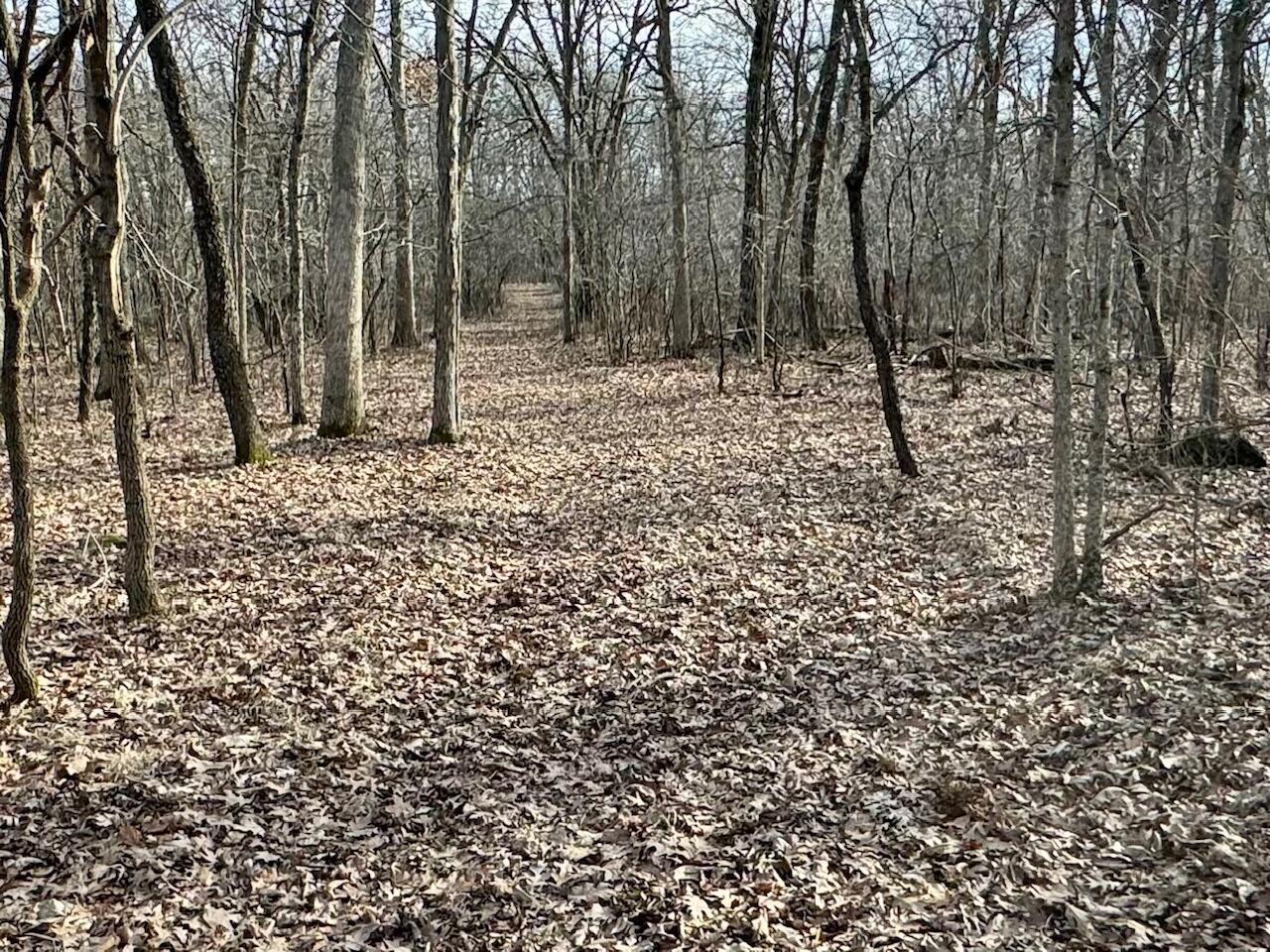 W3769 Highway 44 Markesan, WI 53946 - Photo 48 of 69 W3736 State Road 44 pic 4