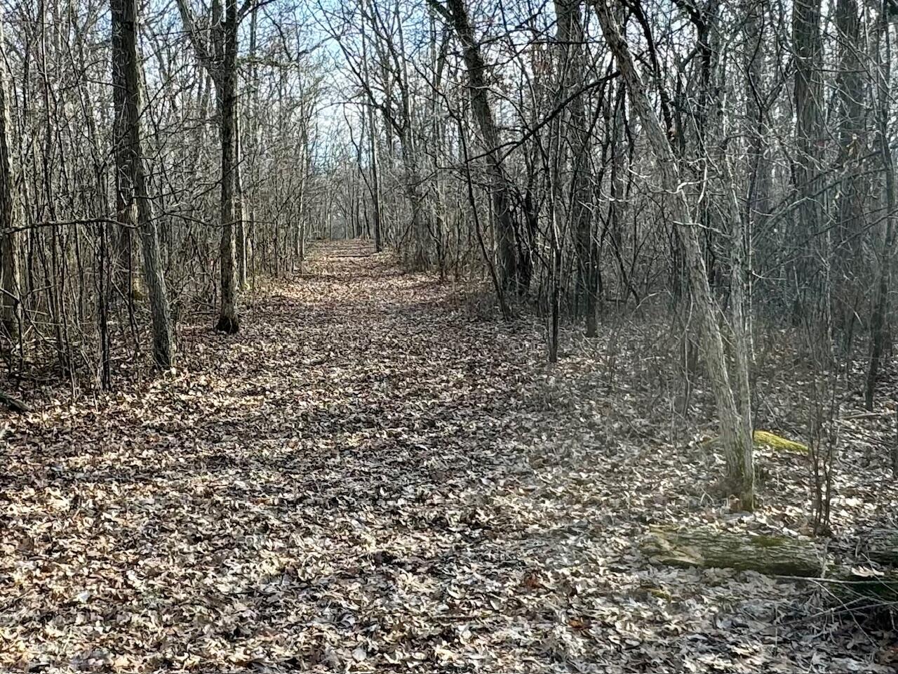 W3769 Highway 44 Markesan, WI 53946 - Photo 7 of 69 W3736 State Road 44 pic 2