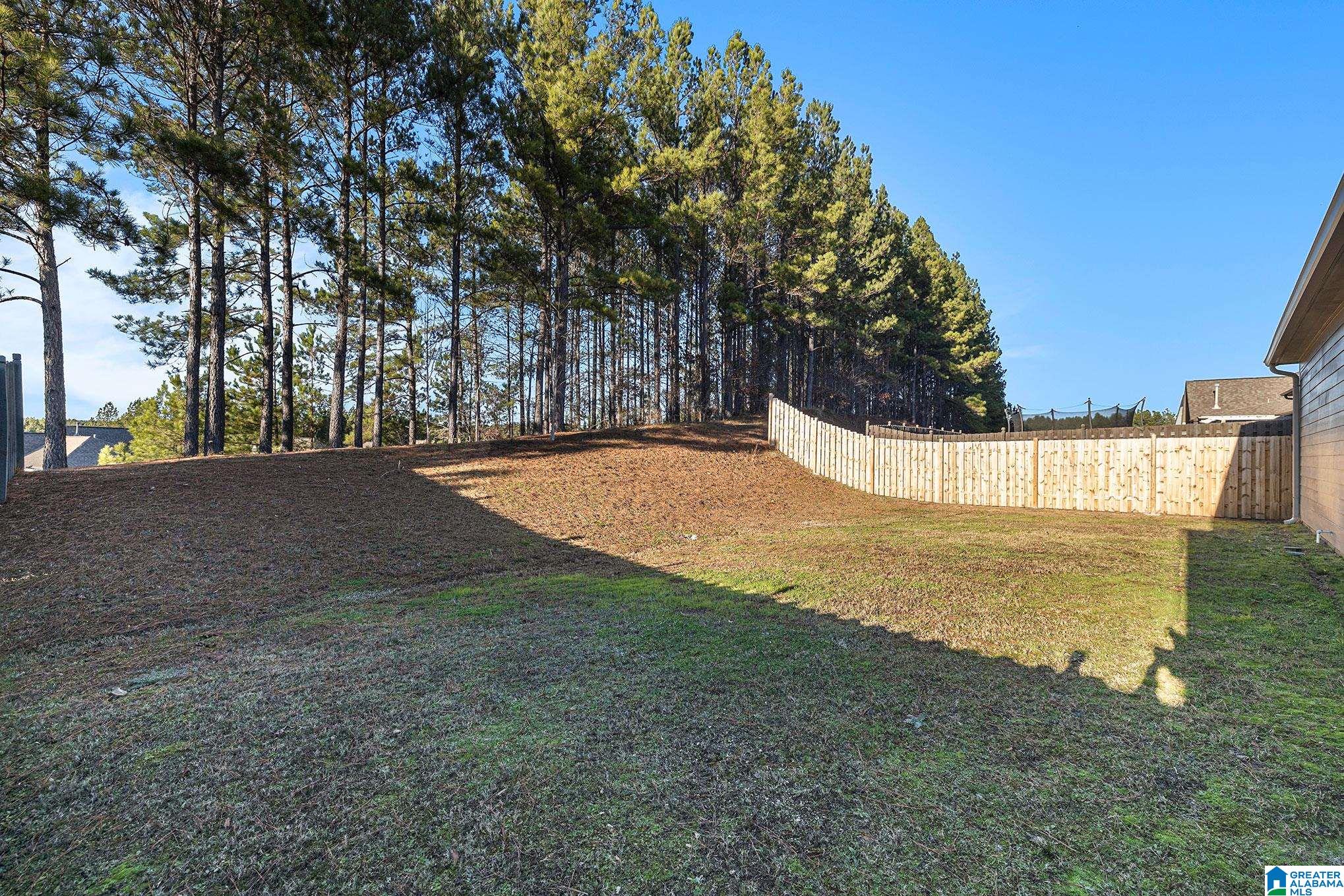 319 Crossbridge Road Chelsea, AL 35043 - Photo 29 of 31