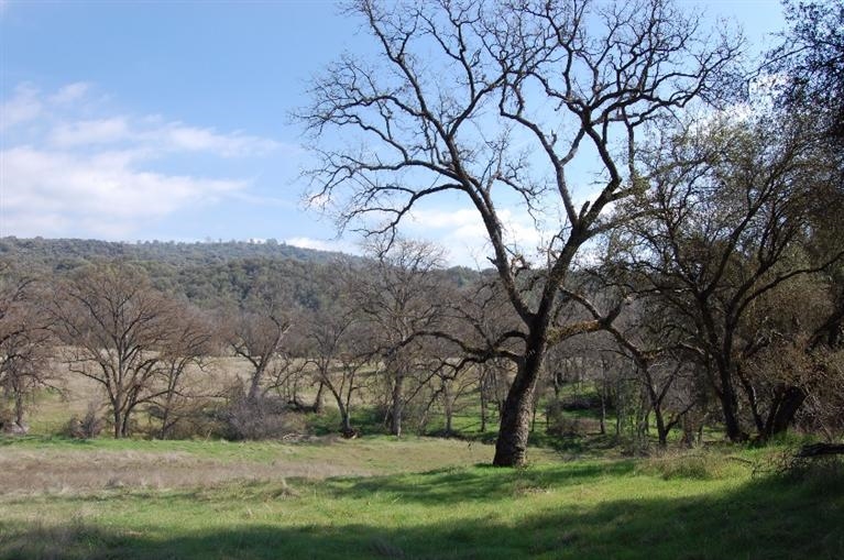 0 Right Road Ahwahnee, CA 93601 - Photo 1 of 1 Gallery Image 1