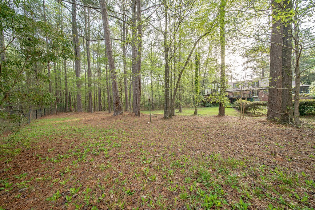 50 Lake Burton Road Cataula, GA 31804 - Photo 16 of 74 Gallery Image 16