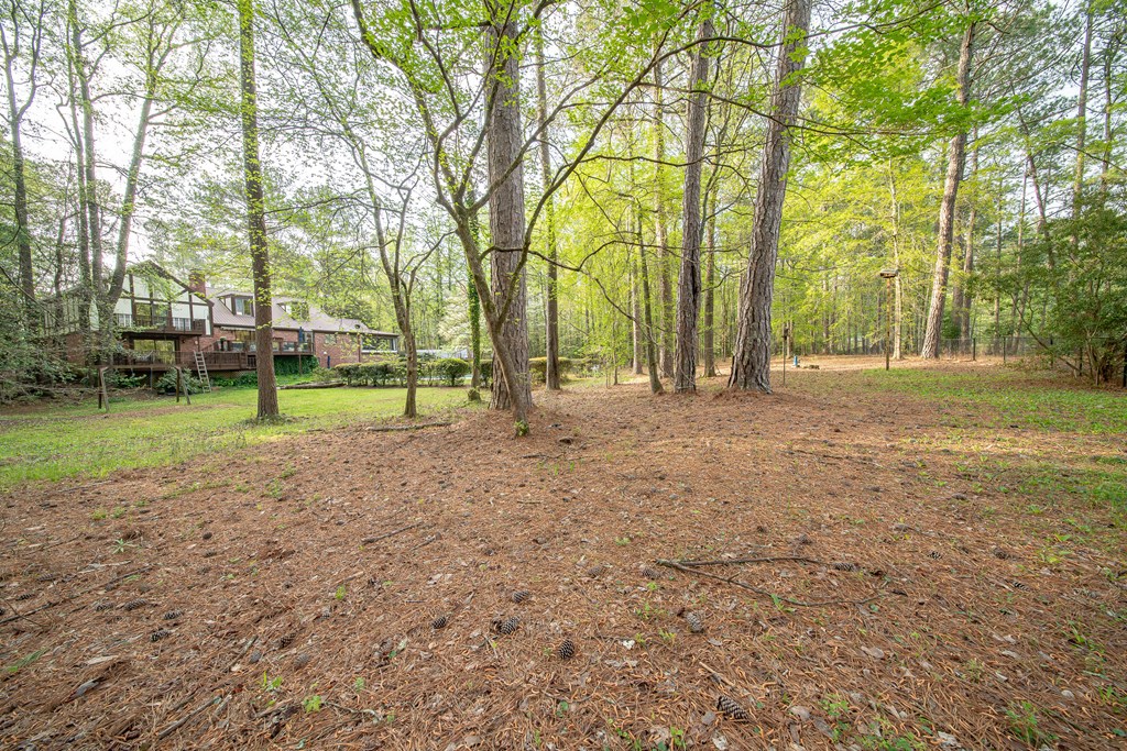 50 Lake Burton Road Cataula, GA 31804 - Photo 17 of 74 Gallery Image 17
