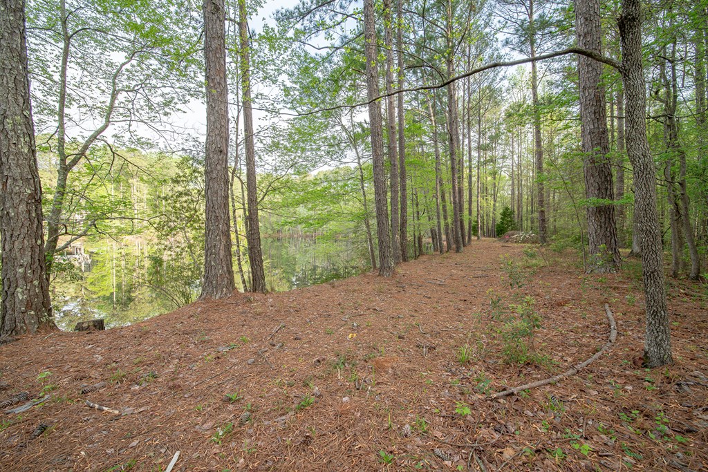 50 Lake Burton Road Cataula, GA 31804 - Photo 18 of 74 Gallery Image 18
