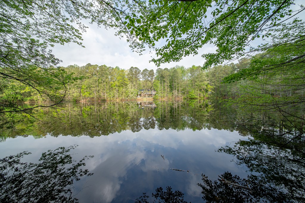 50 Lake Burton Road Cataula, GA 31804 - Photo 19 of 74 Gallery Image 19