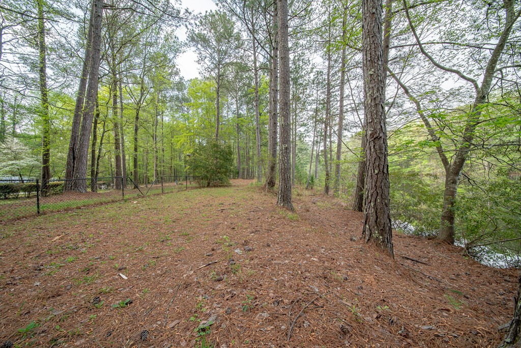 50 Lake Burton Road Cataula, GA 31804 - Photo 20 of 74 Gallery Image 20