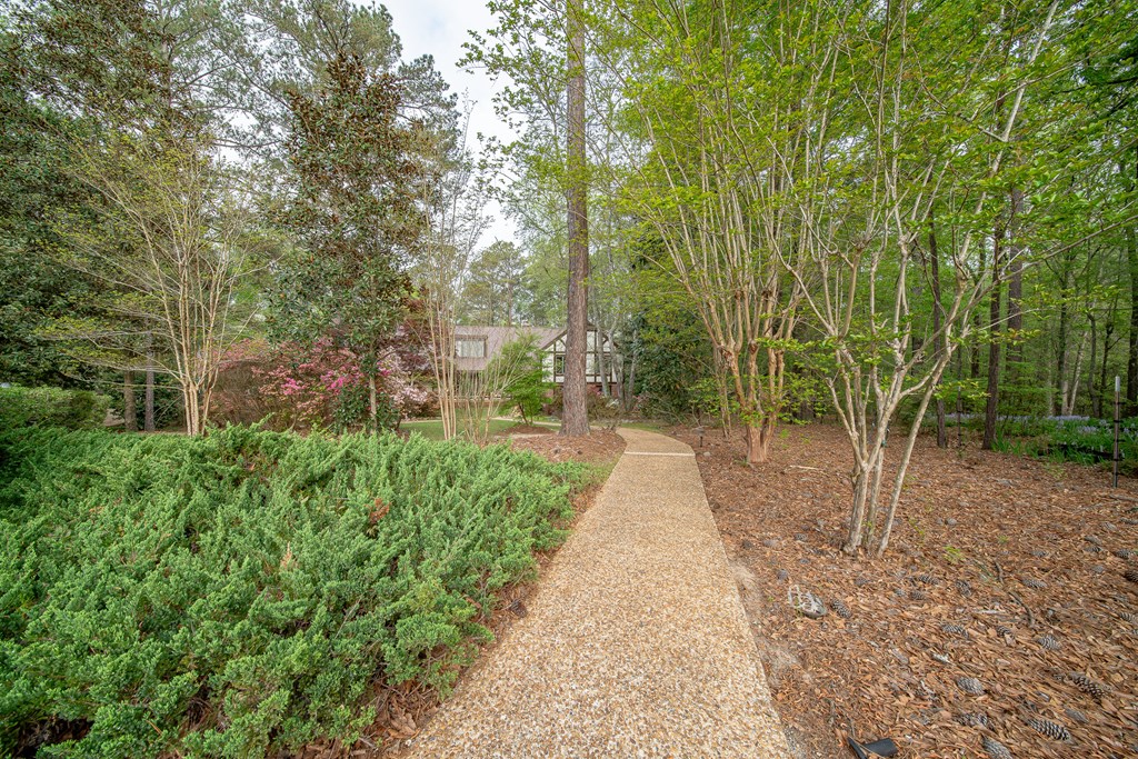 50 Lake Burton Road Cataula, GA 31804 - Photo 2 of 74 Gallery Image 2
