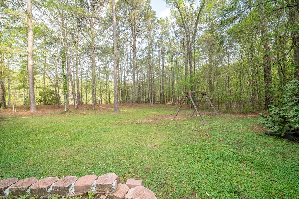 50 Lake Burton Road Cataula, GA 31804 - Photo 23 of 74 Gallery Image 23