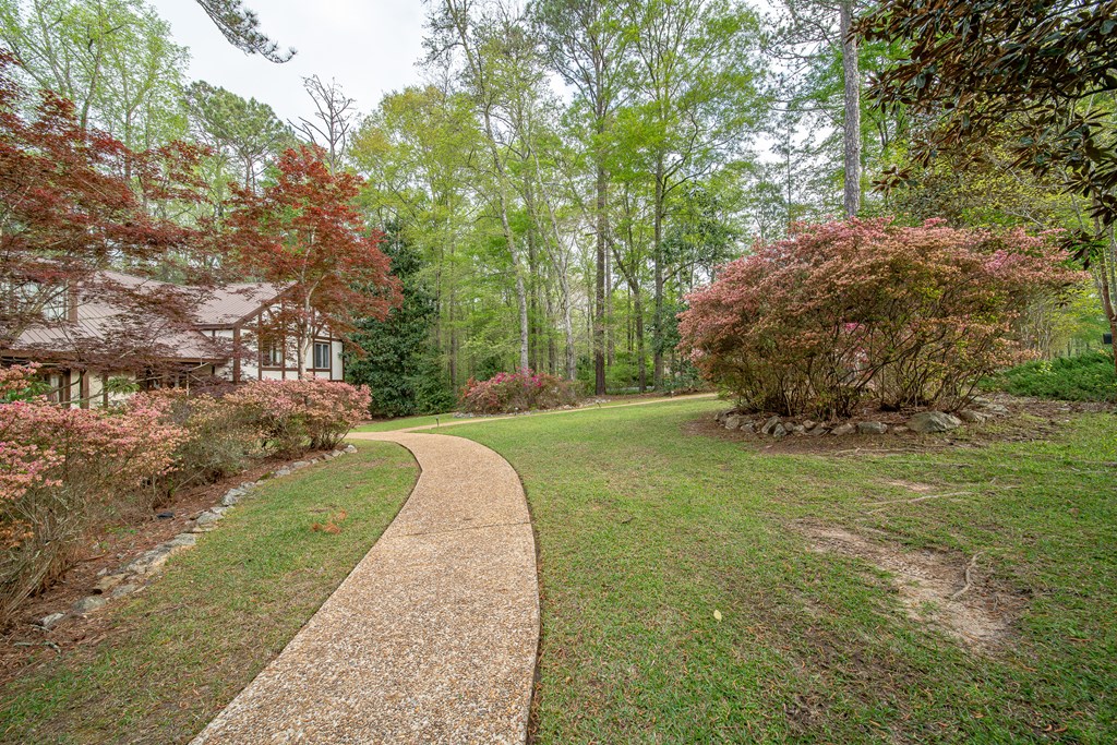 50 Lake Burton Road Cataula, GA 31804 - Photo 6 of 74 Gallery Image 6