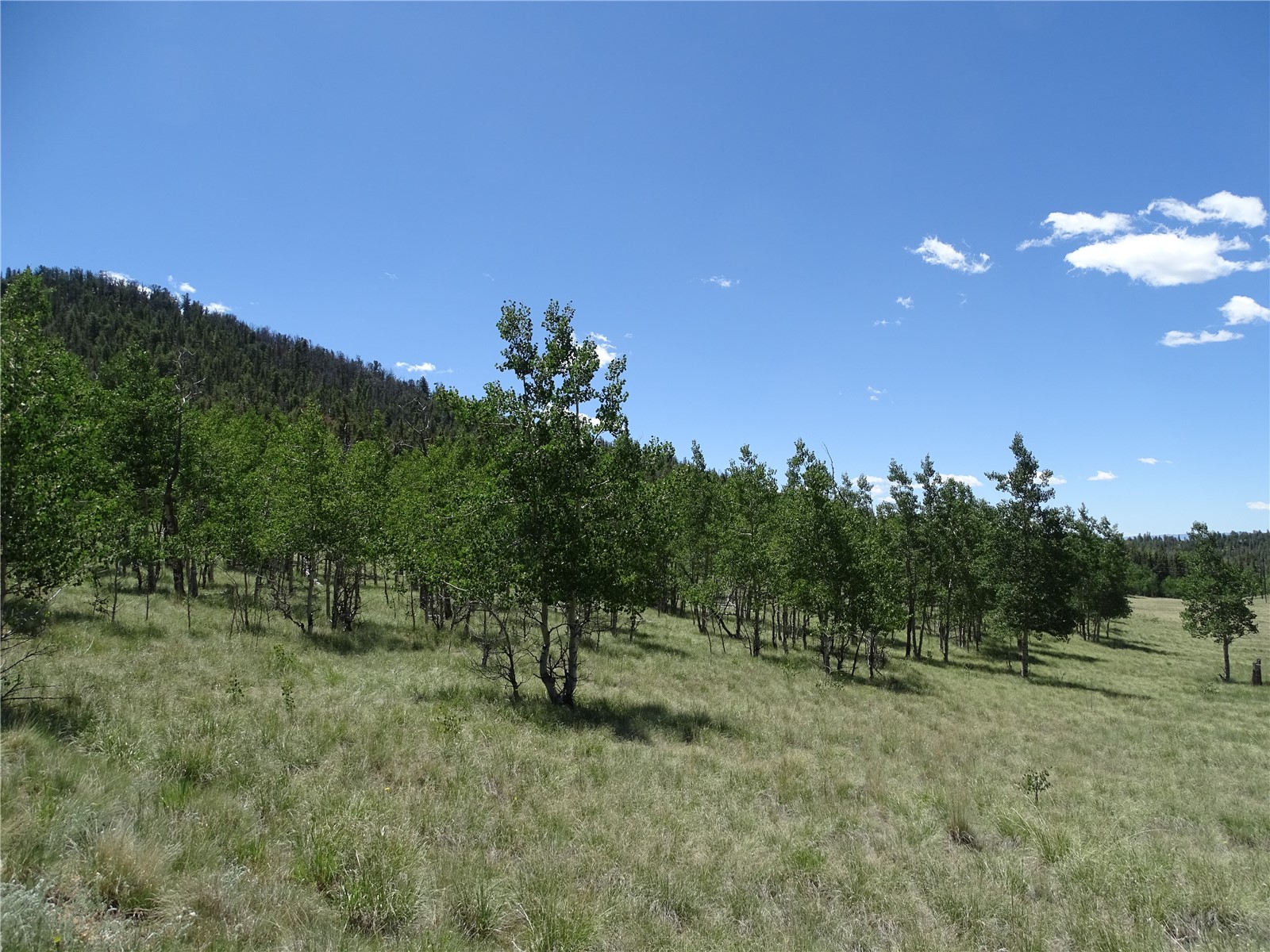 782 Bow String Road Como, CO 80456 - Photo 19 of 22
