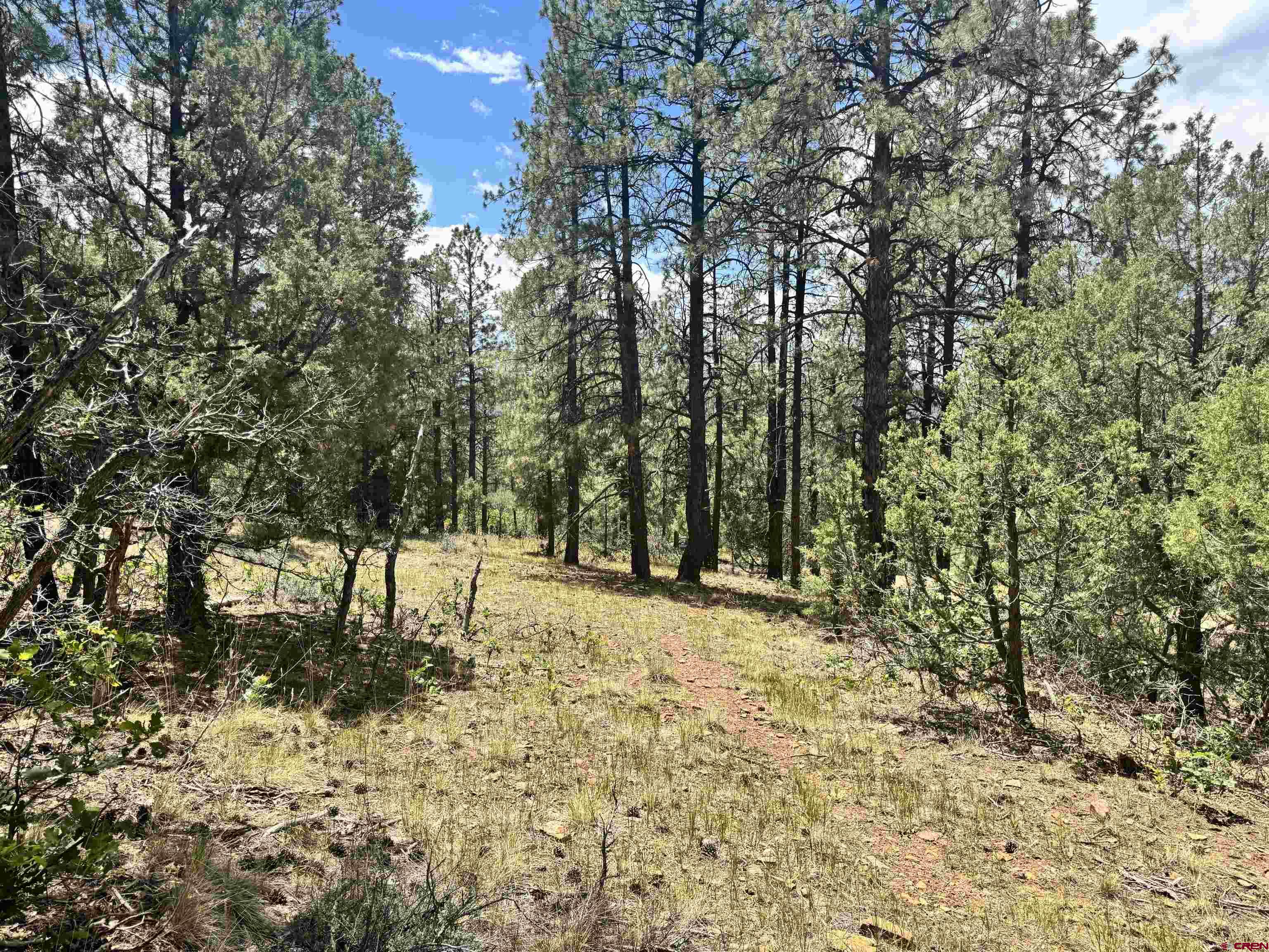 1259 Westview Road Pagosa Springs, CO 81147 - Photo 15 of 29