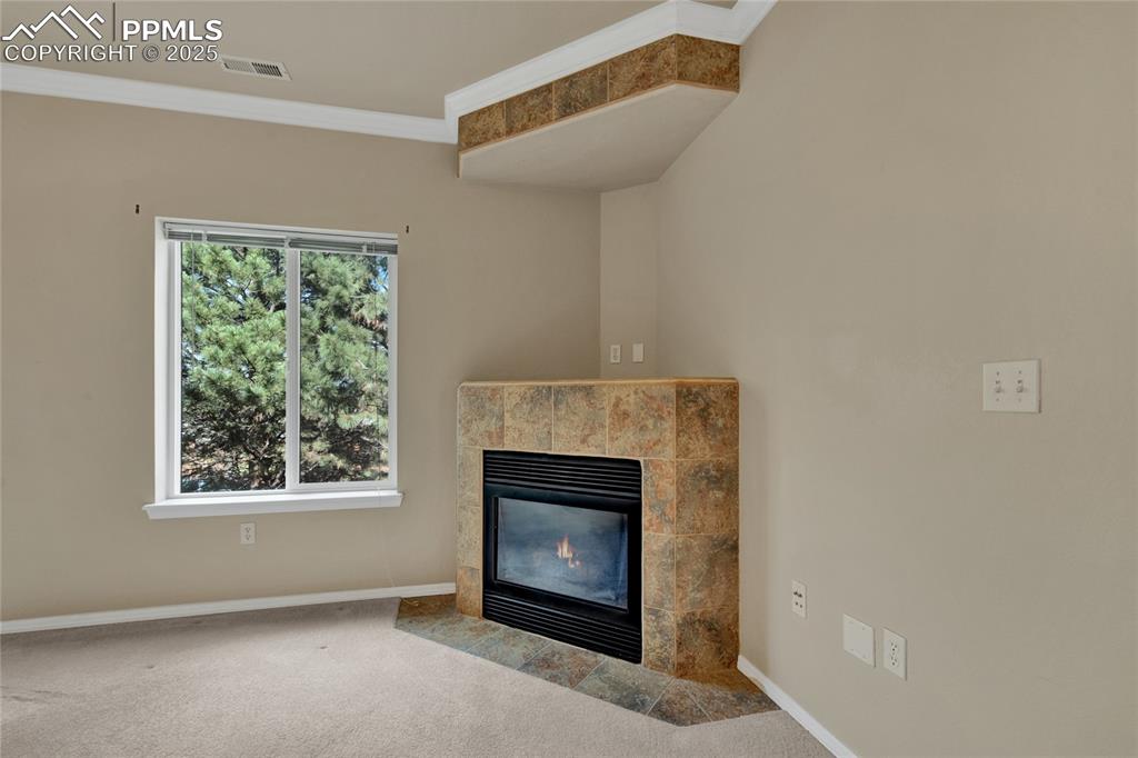 3020 Mandalay Grove, Unit 4 Colorado Springs, CO 80917 - Photo 11 of 30