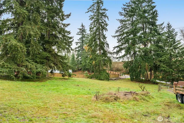 a view of yard with swimming pool and green space