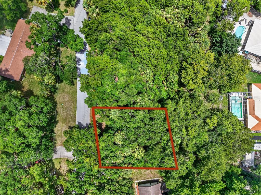 0 Southwest Palm Point Inglis, FL 34449 - Photo 5 of 8