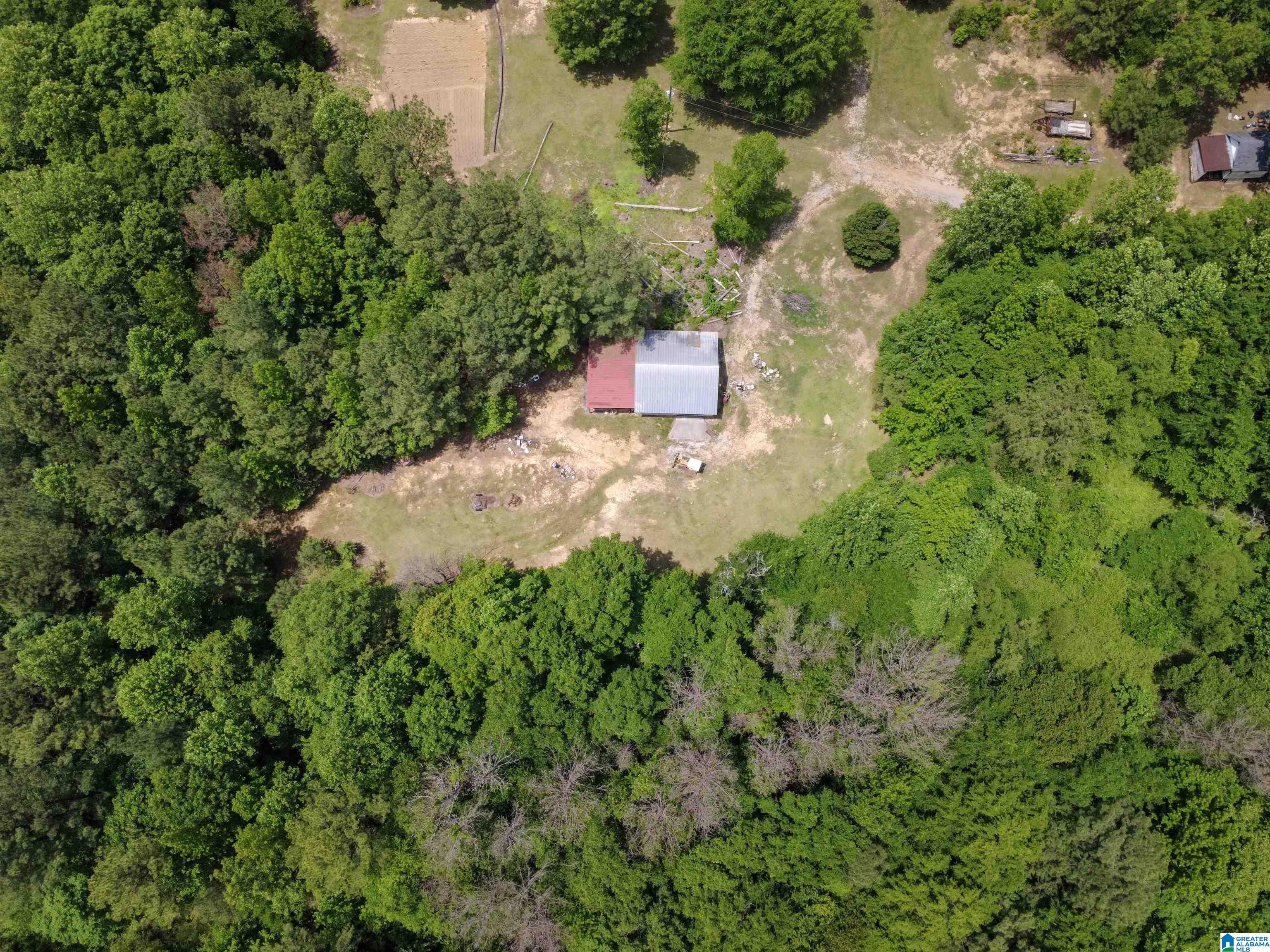 4561 Cook Springs Road Pell City, AL 35125 - Photo 2 of 20