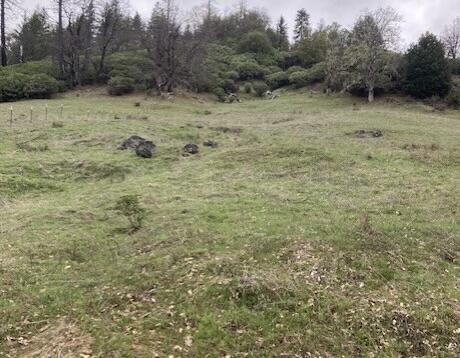 395 East Van Duzen Road Bridgeville, CA 95526 - Photo 5 of 19 a view of a dry yard with wooden fence