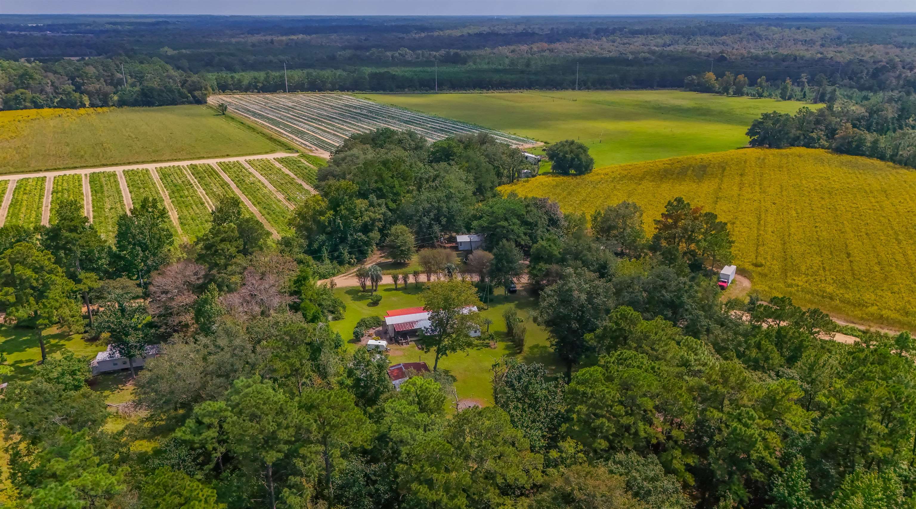 476 Jim Taylor Road Quincy, FL 32351 - Photo 34 of 42 Gallery Image 34