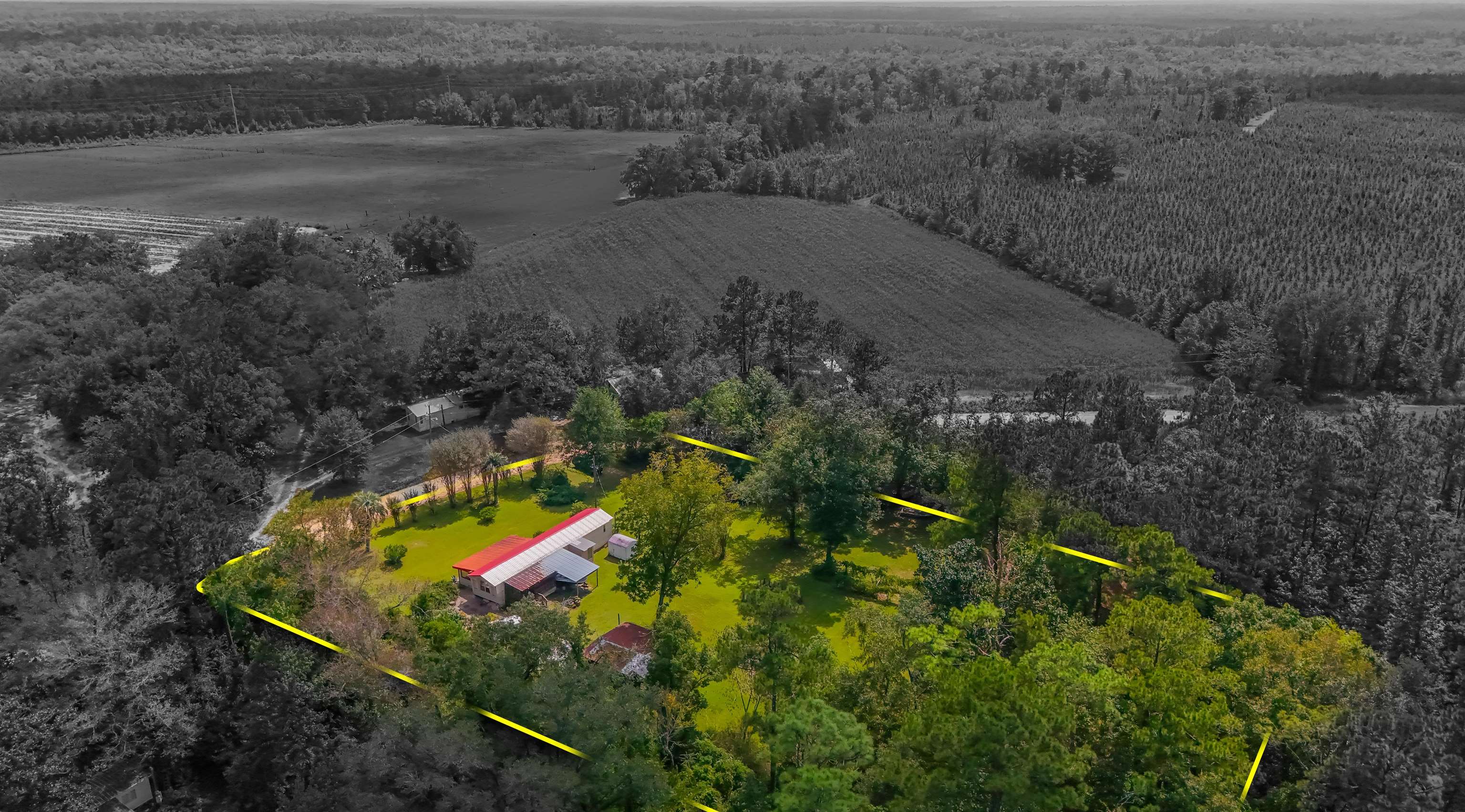 476 Jim Taylor Road Quincy, FL 32351 - Photo 35 of 42 Gallery Image 35