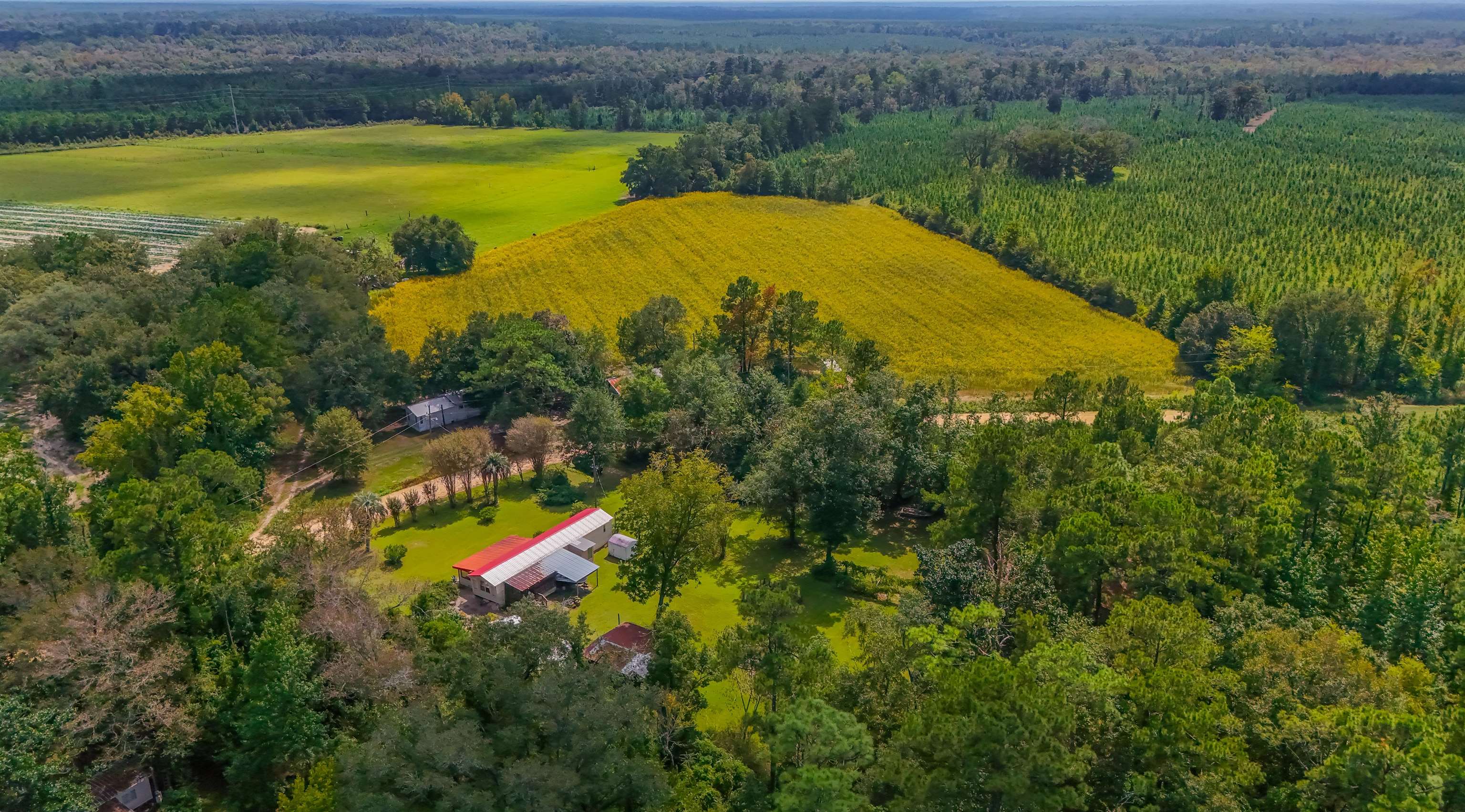 476 Jim Taylor Road Quincy, FL 32351 - Photo 10 of 42 Gallery Image 10