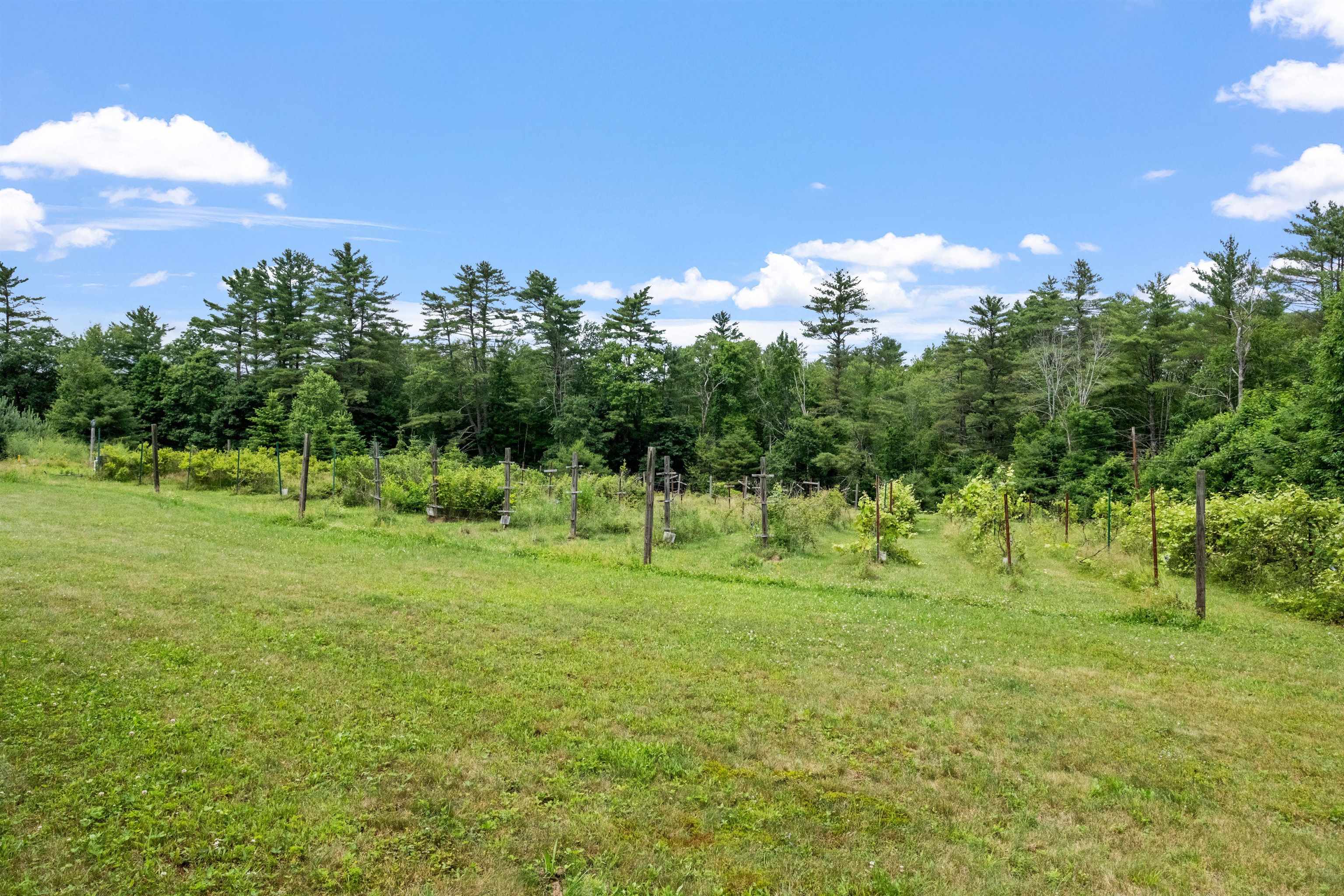 51 Swett Road Pittsfield, NH 03263 - Photo 11 of 53
