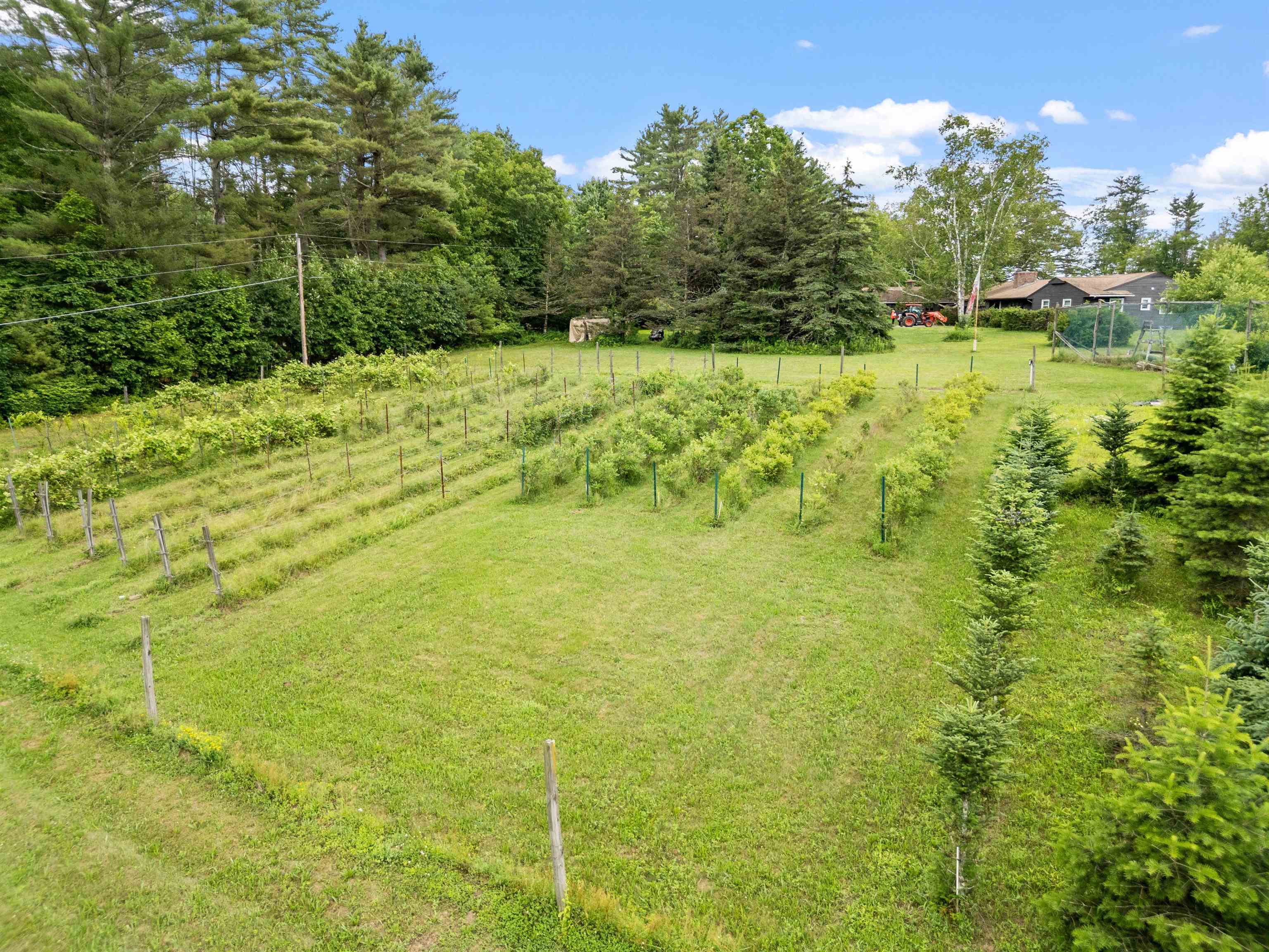 51 Swett Road Pittsfield, NH 03263 - Photo 22 of 53