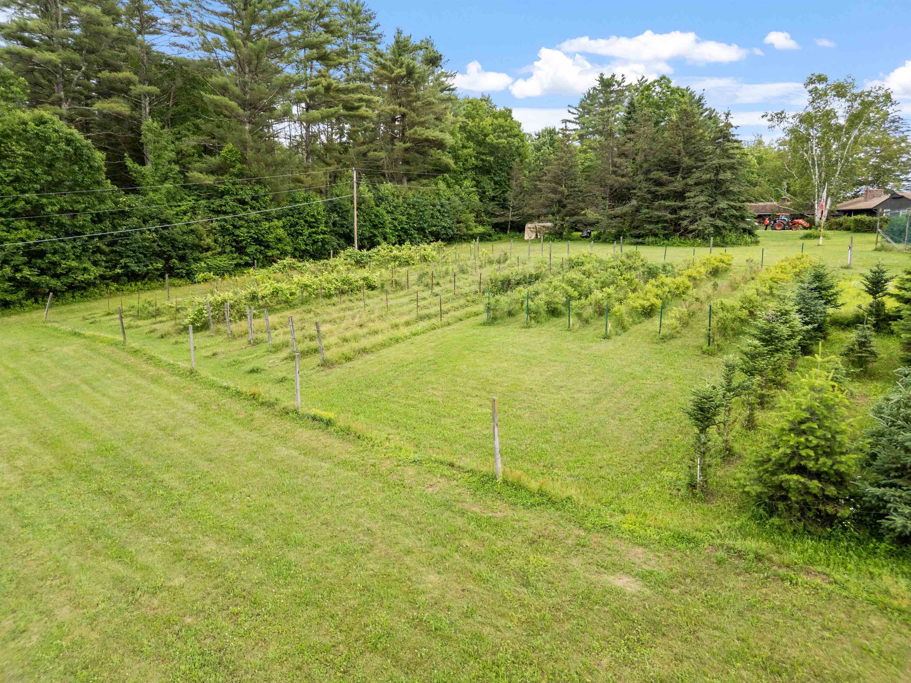 51 Swett Road Pittsfield, NH 03263 - Photo 23 of 53