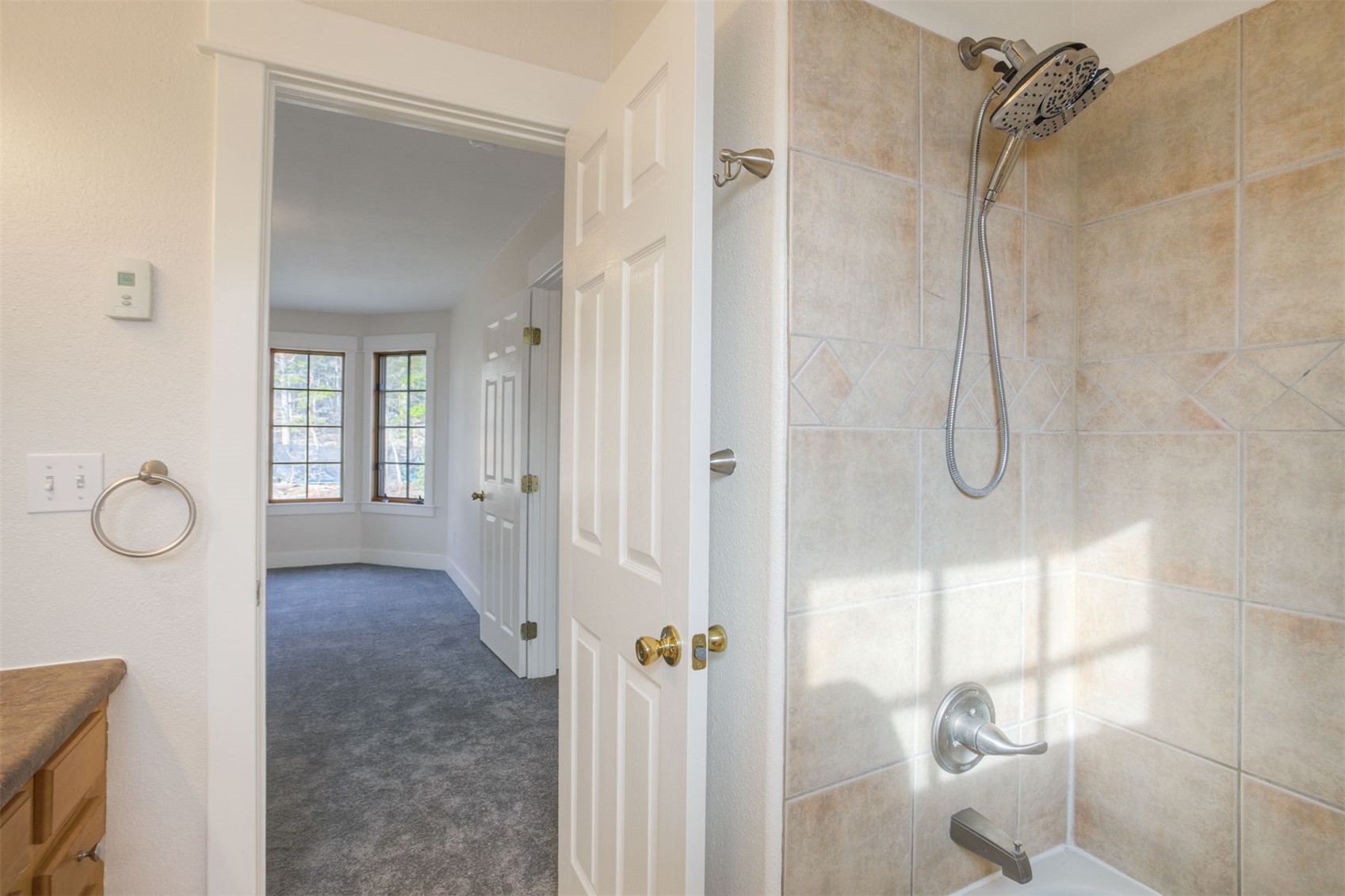 372 North Oak Street Alma, CO 80420 - Photo 23 of 31