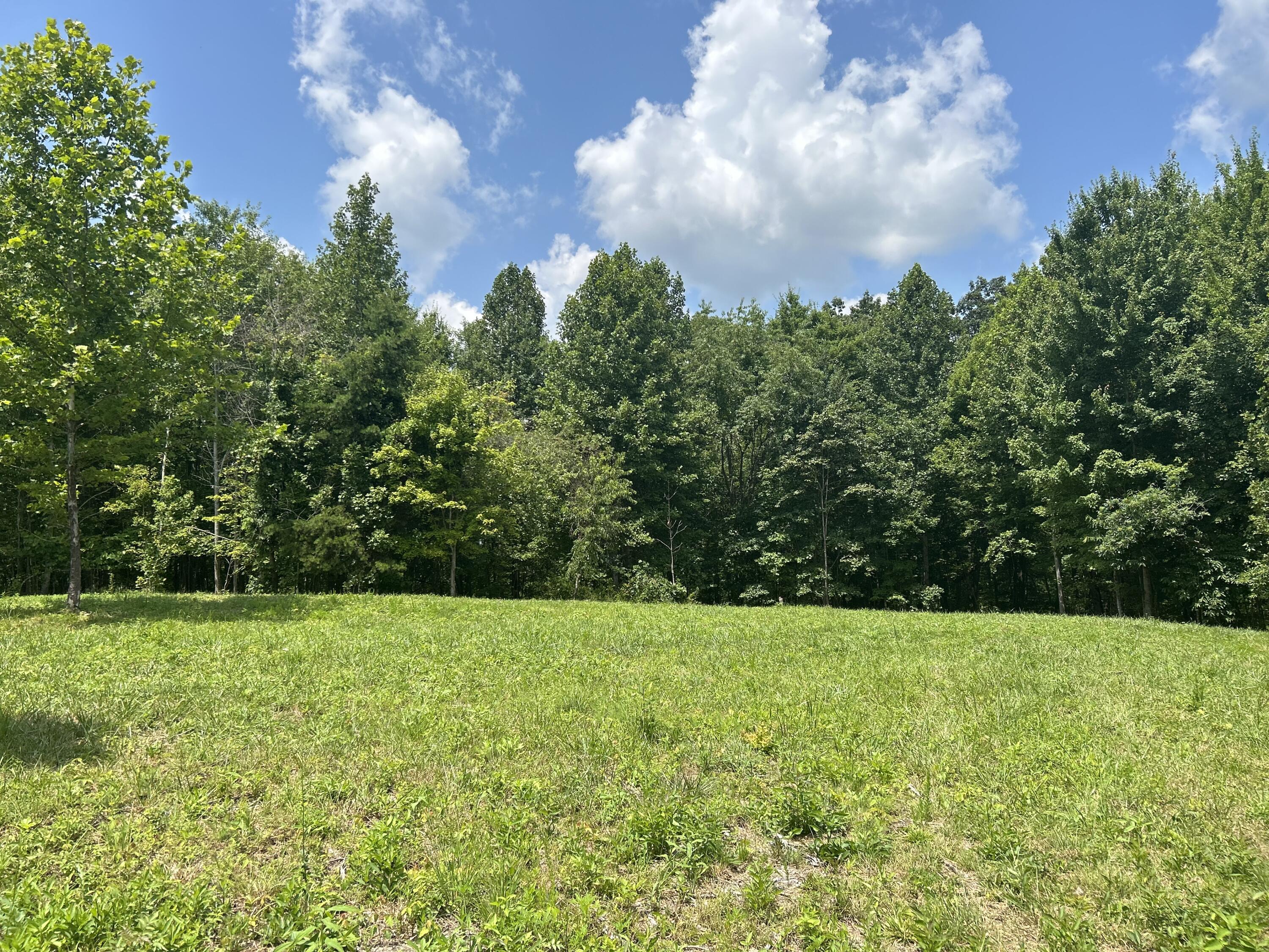 742 Rubin Ridge Road London, KY 40741 - Photo 2 of 4 RR 3
