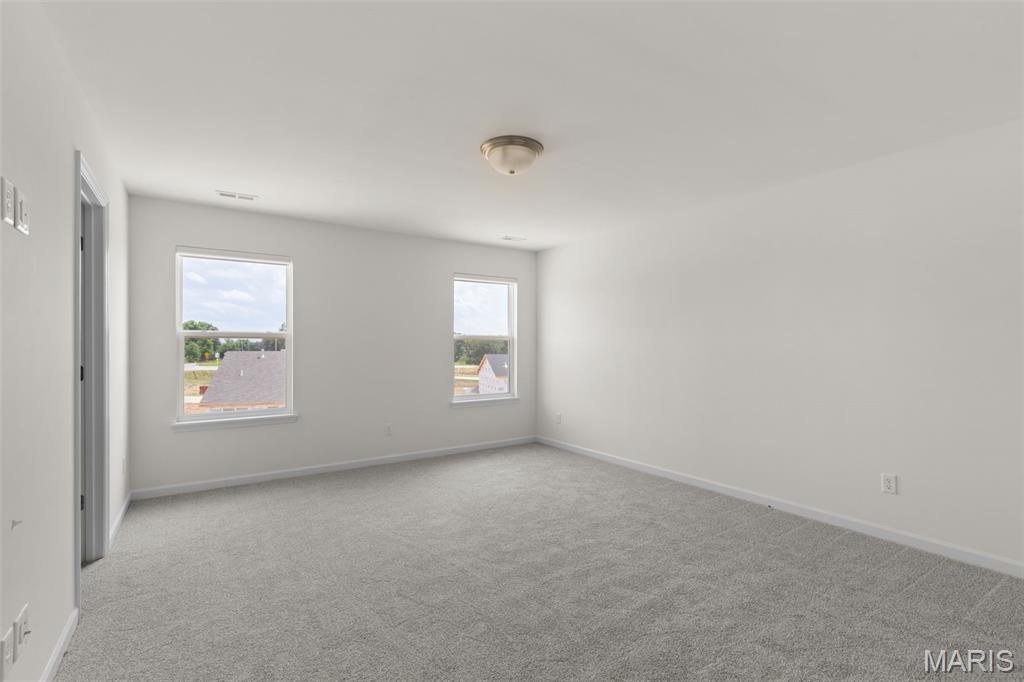 20 Fairmount Grv Drive St. Peters, MO 63376 - Photo 19 of 22