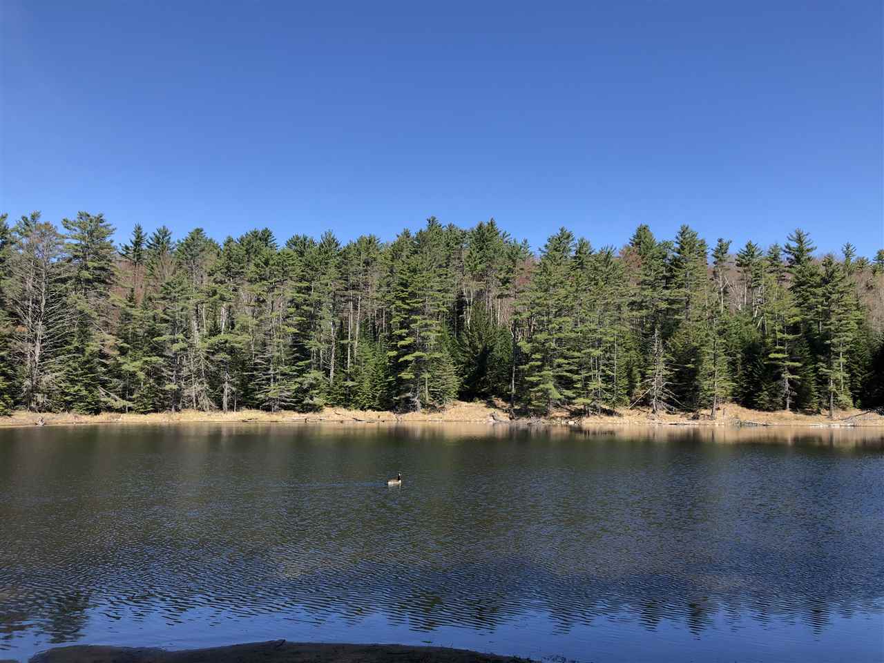 777 Tenney Pond Road Newbury, VT 05081 - Photo 14 of 21